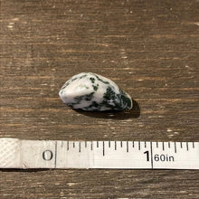 Load image into Gallery viewer, Tree Agate - Brazil - Witch Chest